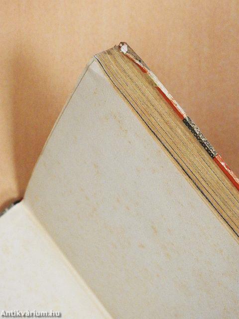 Az ezermester történelemkönyve