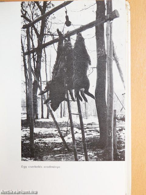 Emlékezetes vadászatok