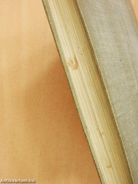 Neonfény a Nilus felett