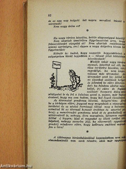 Levelek egy kezdő turistához