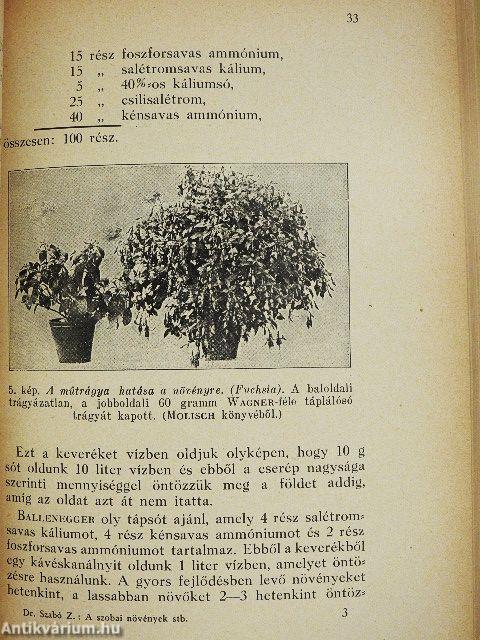 A szobai növények élete és gondozása