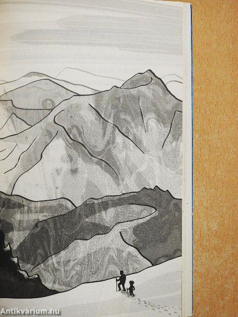 Bear Grylls kalandok - Vulkán kaland