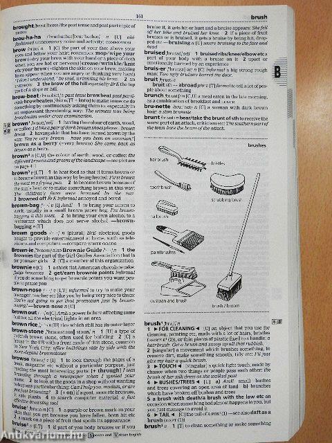 Longman Dictionary of Contemporary English