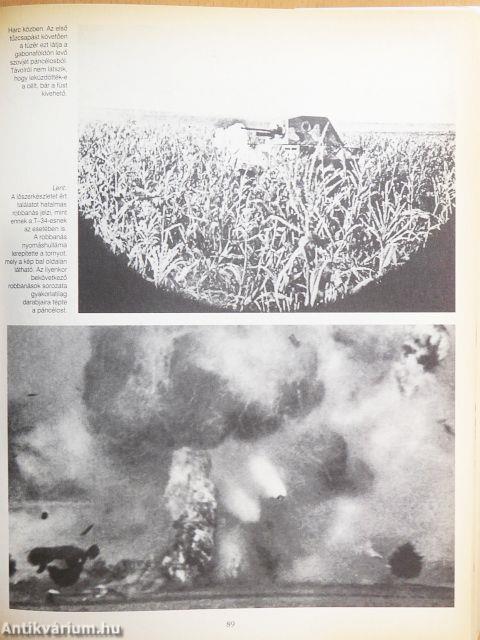 Háború virágfüzérek nélkül