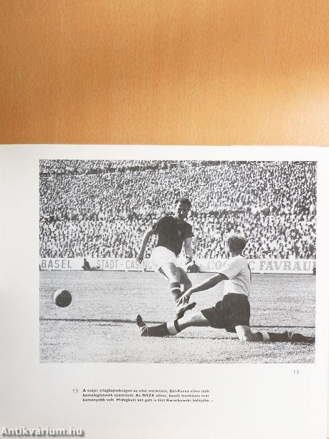 Labdarúgó világbajnokságok