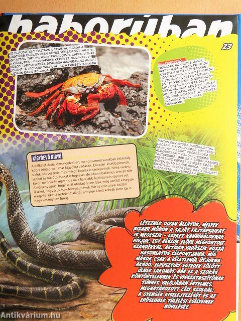 A hadviselés tudománya