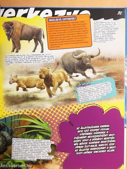 A hadviselés tudománya