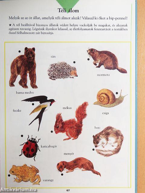 Játékos bip-enciklopédia