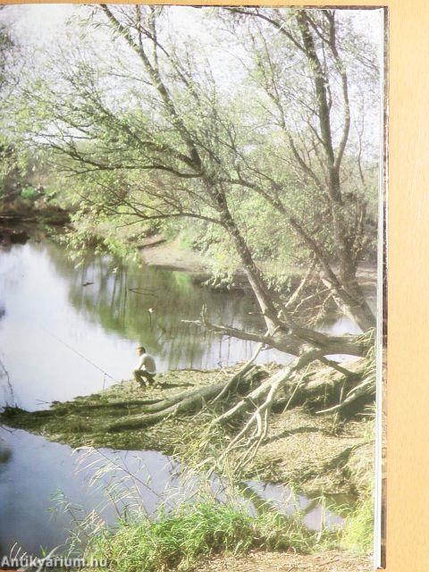 Szigetköz