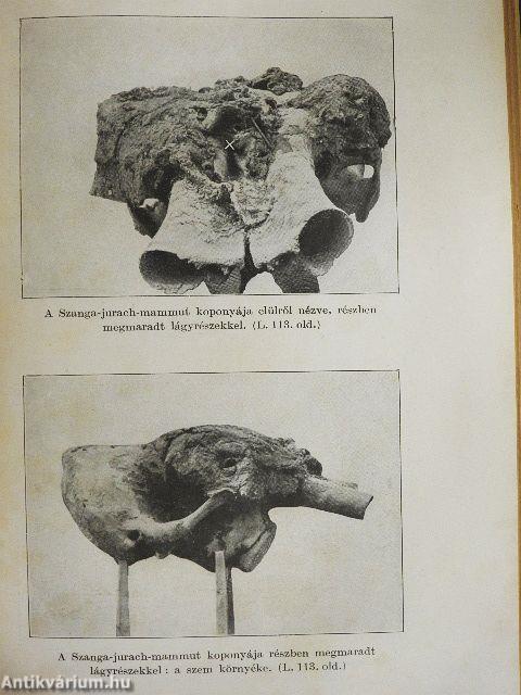 Kelet-Szibíria ősvilága és ősnépei