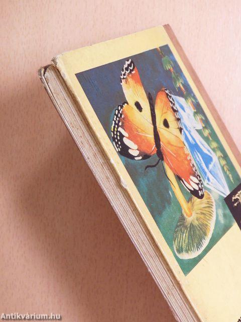 Gyűjtés hegyen-völgyön