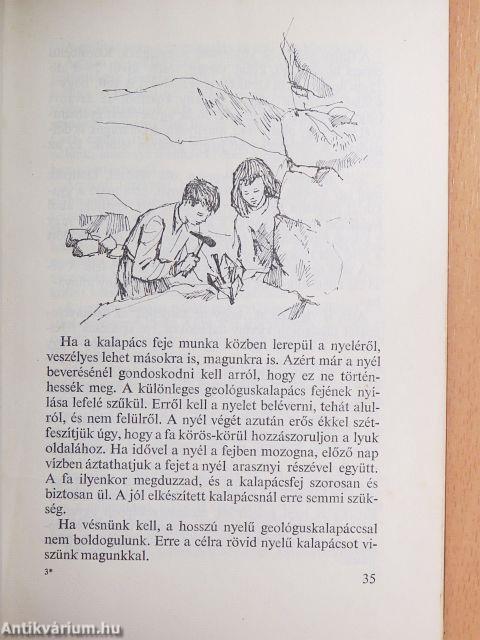 Gyűjtés hegyen-völgyön