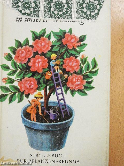 Pflanzen in unserer Wohnung