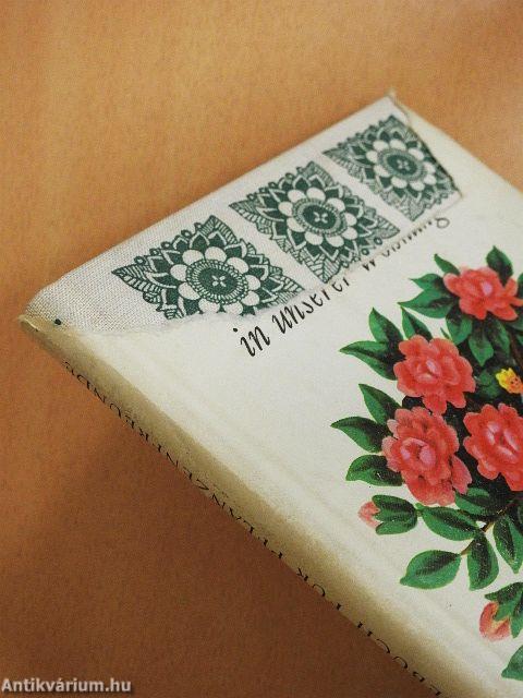 Pflanzen in unserer Wohnung