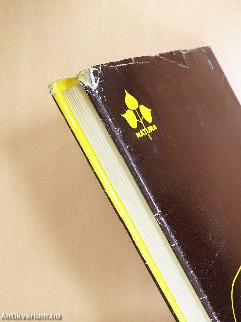 Szociobiológia és viselkedés