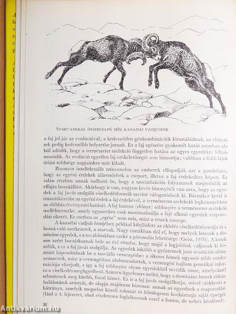 Szociobiológia és viselkedés