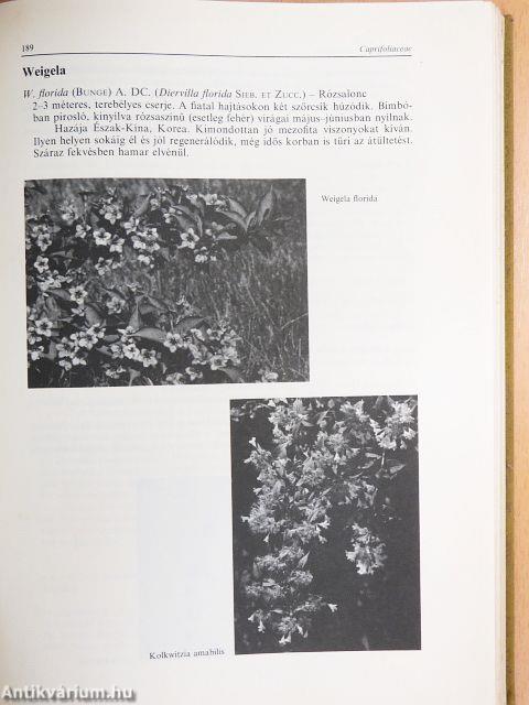 Díszfák, díszcserjék termesztése és felhasználása