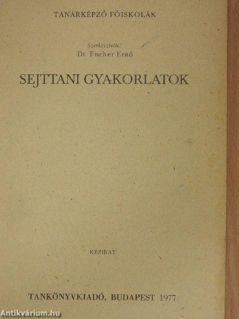 Sejttani gyakorlatok