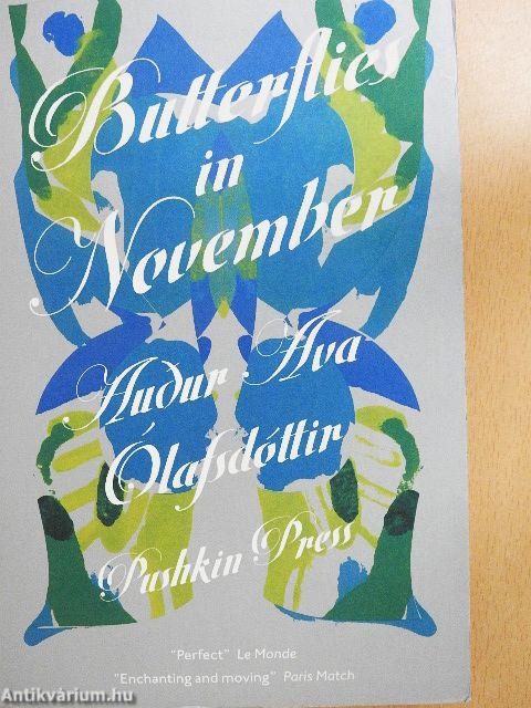 Butterflies in November