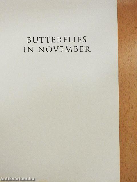 Butterflies in November