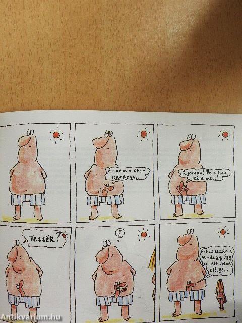 A férfi legjobb barátja