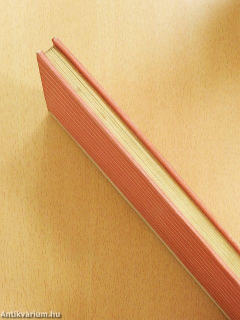 Öt lány a sarkamban