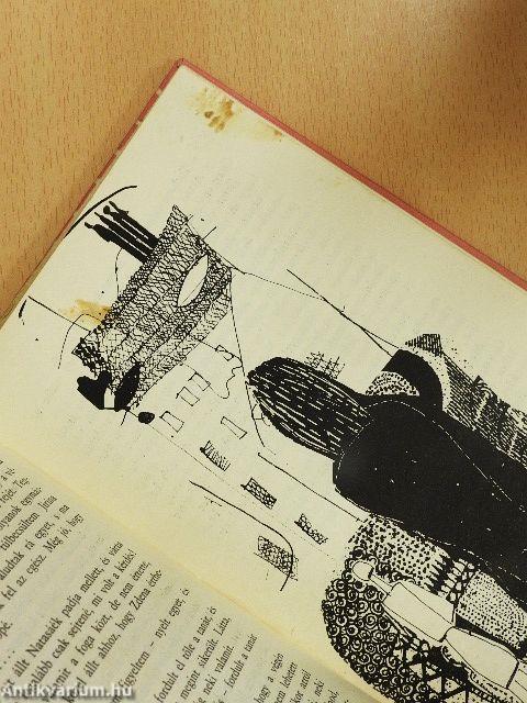 Öt lány a sarkamban