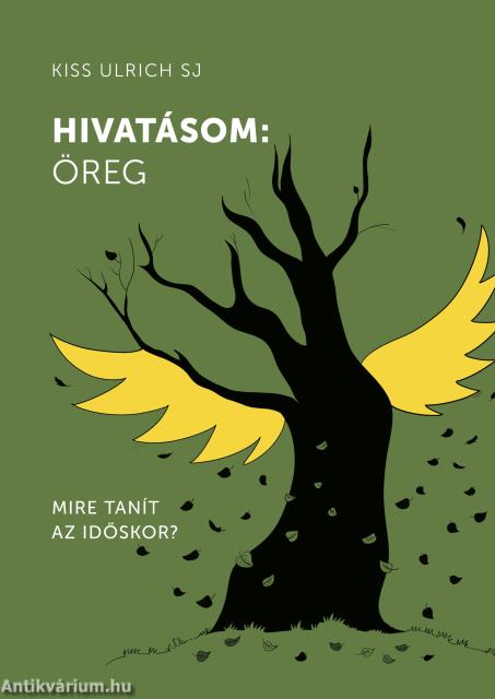 Hivatásom: öreg. Mire tanít az időskor?