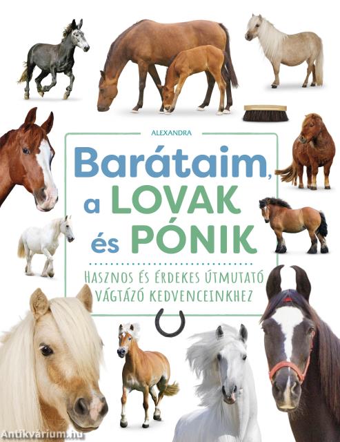 Barátaim, a lovak és pónik