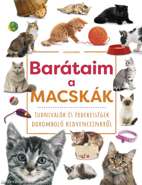 Barátaim, a macskák