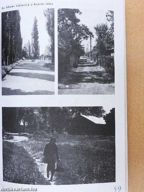 Mobilitási esélyek és a kisegítő iskola