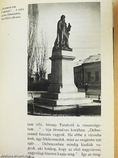 Így élt Móricz Zsigmond