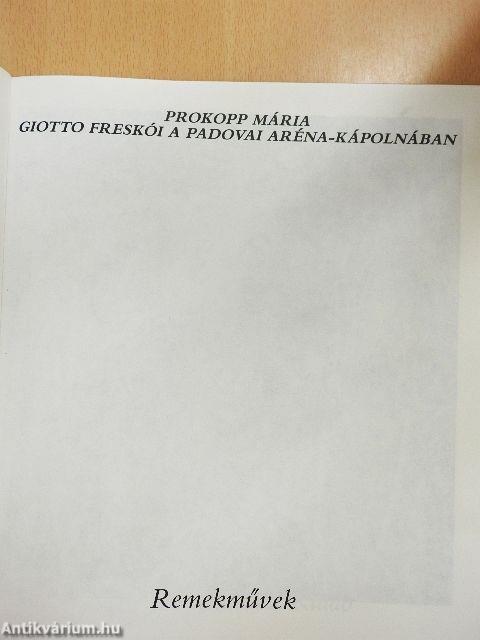 Giotto freskói a padovai Aréna-kápolnában