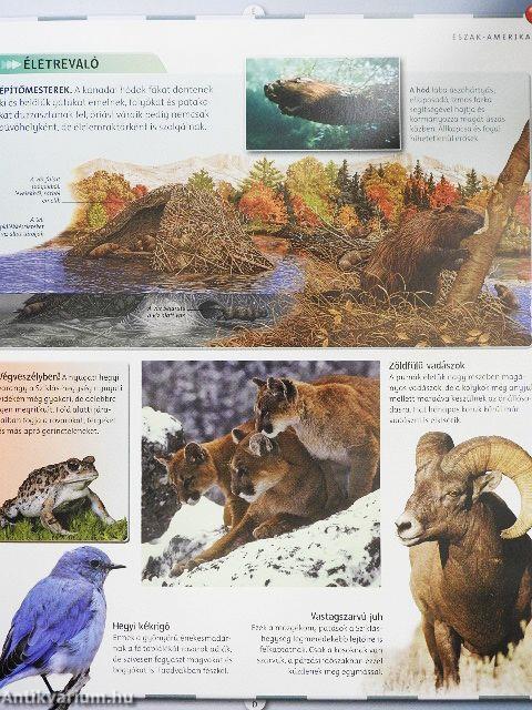 Az állatvilág atlasza