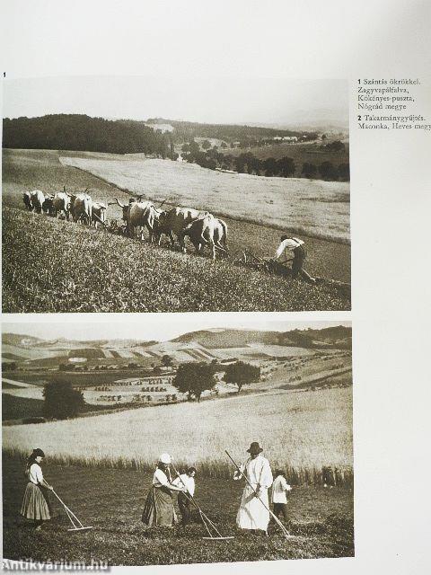 Magyar népművészet