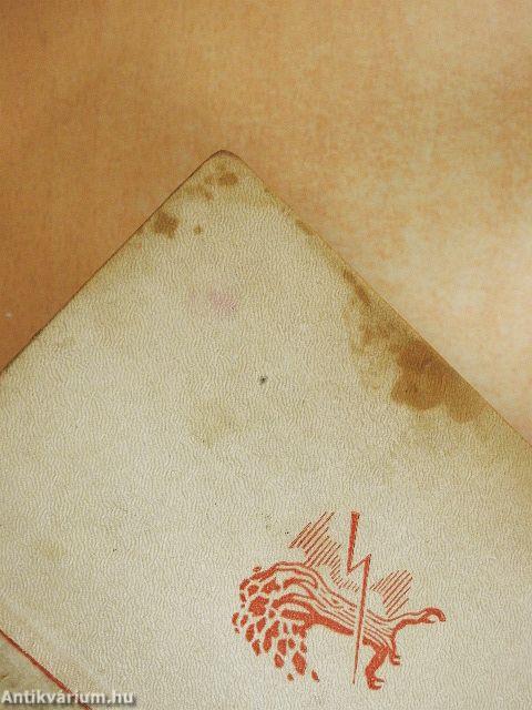 A sibói bölény I-II.