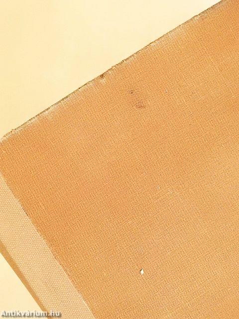 Erzsi tekintetes asszony