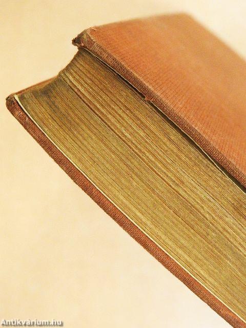 Erzsi tekintetes asszony