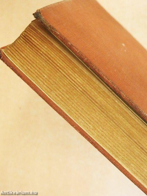 Erzsi tekintetes asszony