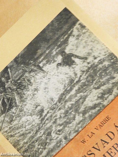 Kincsvadászat Dél-Amerikában