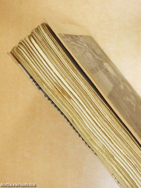 Kincsvadászat Dél-Amerikában