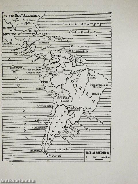 Kincsvadászat Dél-Amerikában