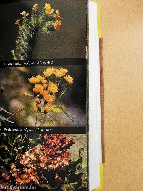 National Audubon Society Field Guide to North American Wildflowers