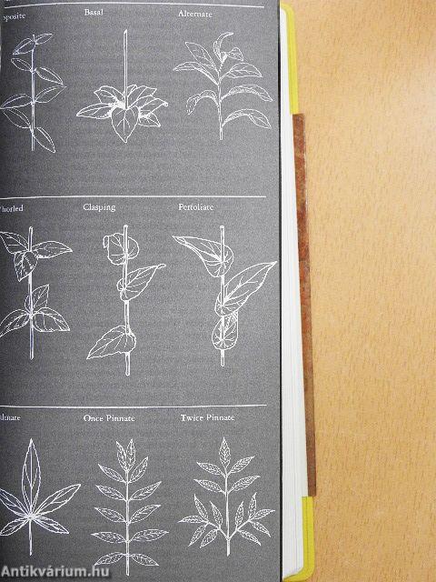 National Audubon Society Field Guide to North American Wildflowers