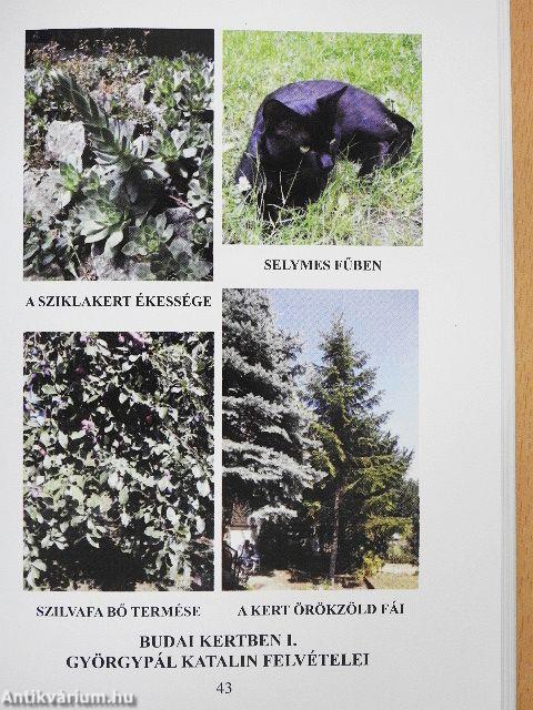 Kláris antológia '14