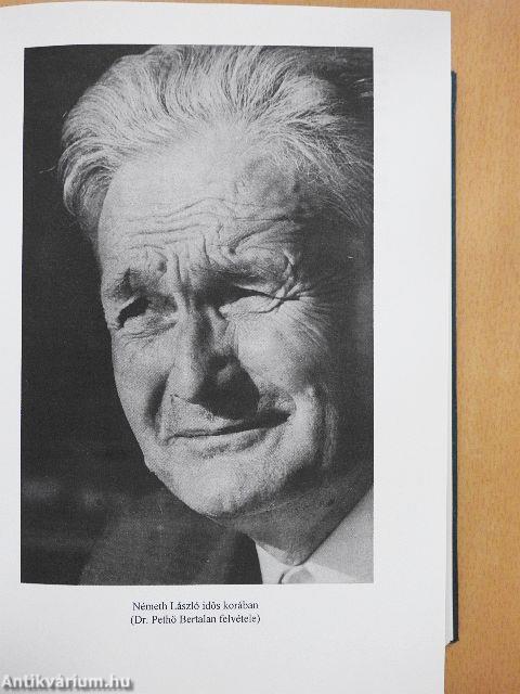 »Én sosem kívántam más emlékművet...«