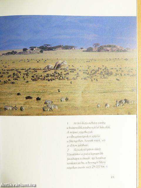 Serengeti