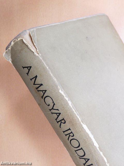 A magyar irodalom története 1849-ig