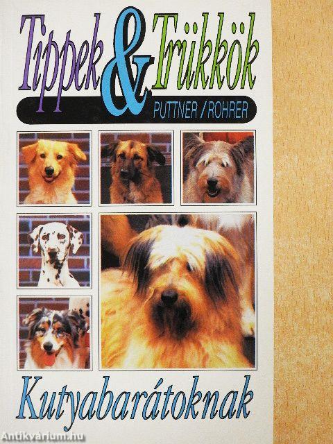 Tippek & trükkök kutyabarátoknak