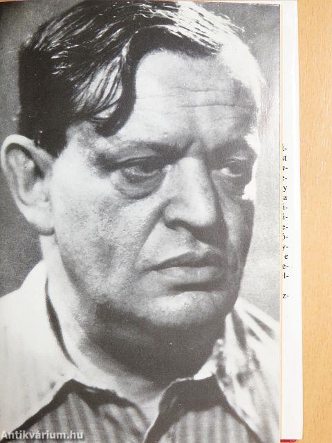 Utazás a koponyám körül